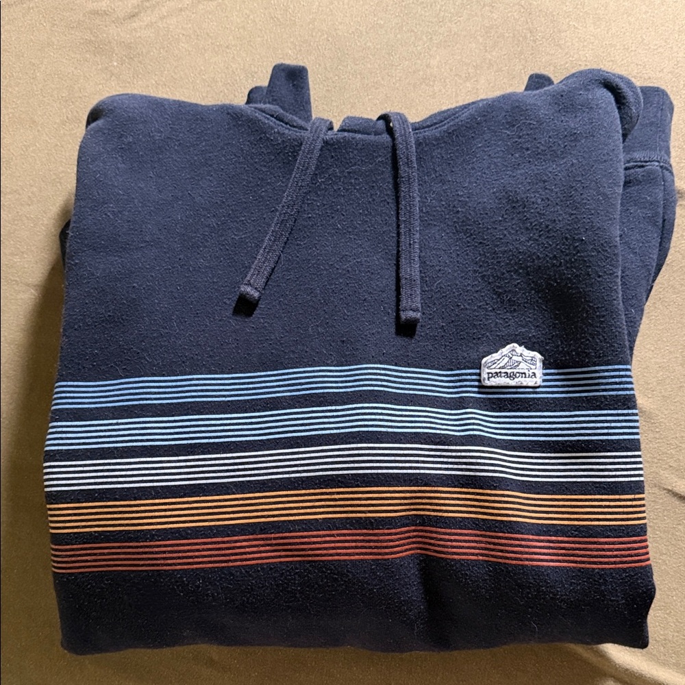 Patagonia Navy Hoodie